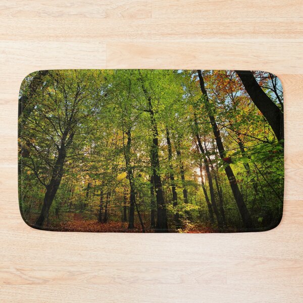 Item preview, Photograph of a forest with sunlight peeking through designed and sold by Vetagio.
