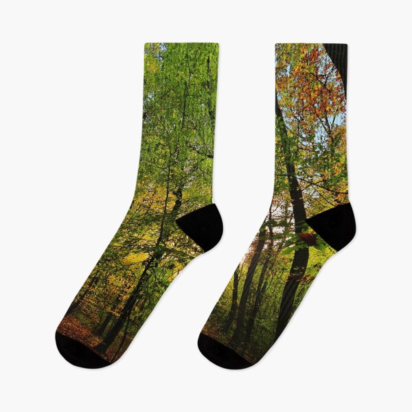Item preview, Photograph of a forest with sunlight peeking through designed and sold by Vetagio.