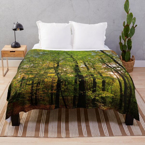 Item preview, Photograph of a forest with sunlight peeking through designed and sold by Vetagio.