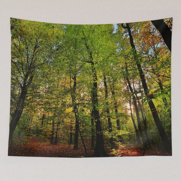 Item preview, Photograph of a forest with sunlight peeking through designed and sold by Vetagio.