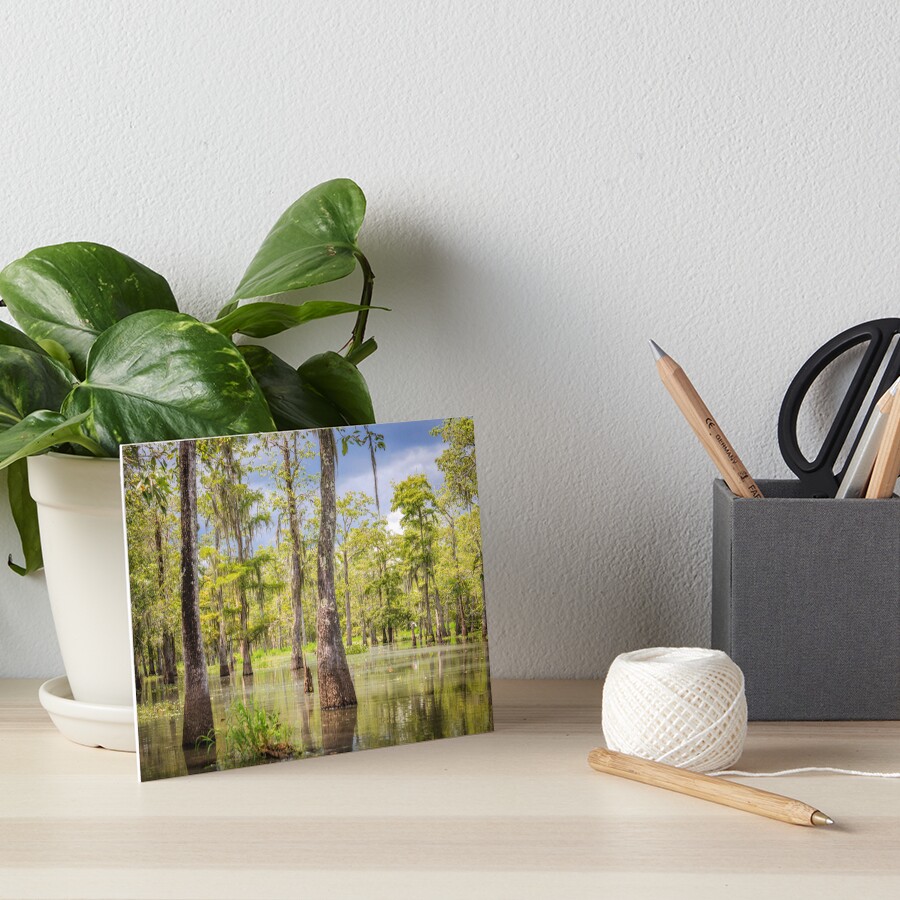 Item preview, Art Board Print designed and sold by Jonicool.