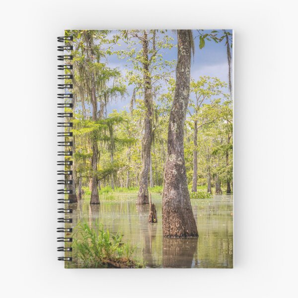 Item preview, Swamp  designed and sold by Jonicool.