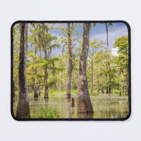 Item preview, Swamp  designed and sold by Jonicool.