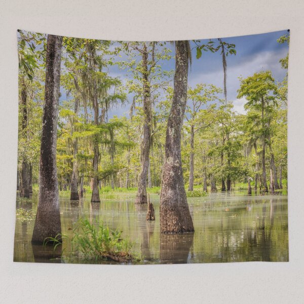 Item preview, Swamp  designed and sold by Jonicool.