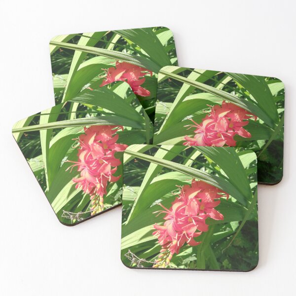 Item preview, Orange lilies photograph  designed and sold by esvb.