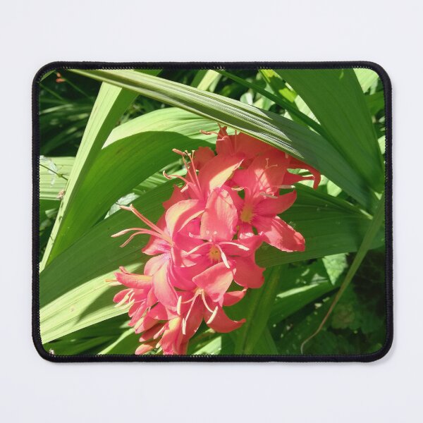 Item preview, Orange lilies photograph designed and sold by esvb.