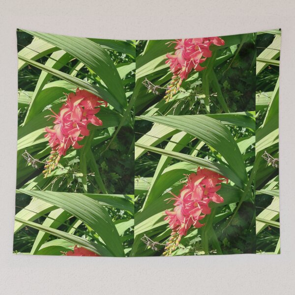 Item preview, Orange lilies photograph  designed and sold by esvb.