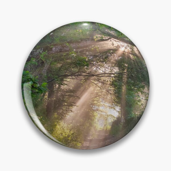 Item preview, sendero forestal designed and sold by troianifabrizio.
