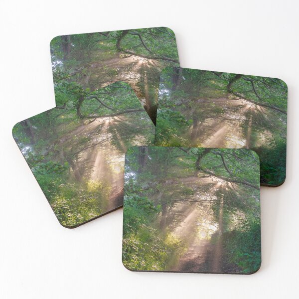 Item preview, sendero forestal designed and sold by troianifabrizio.