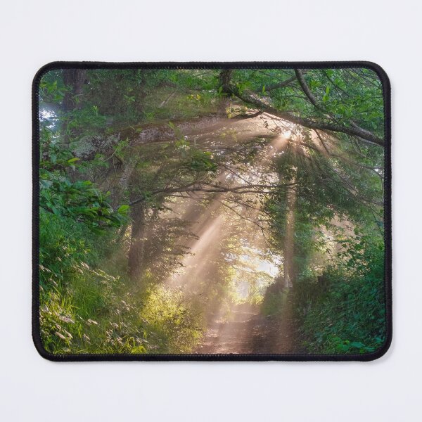 Item preview, Forest trail designed and sold by troianifabrizio.