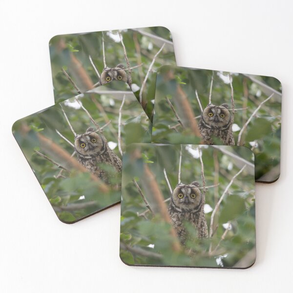 Item preview, Long Eared Owl designed and sold by Andrea King.