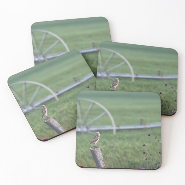 Item preview, Burrowing Owl in Front of a Farm designed and sold by Andrea King.