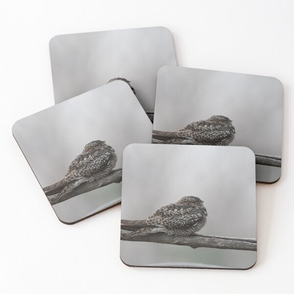 Item preview, Resting Nighthawk designed and sold by Andrea King.