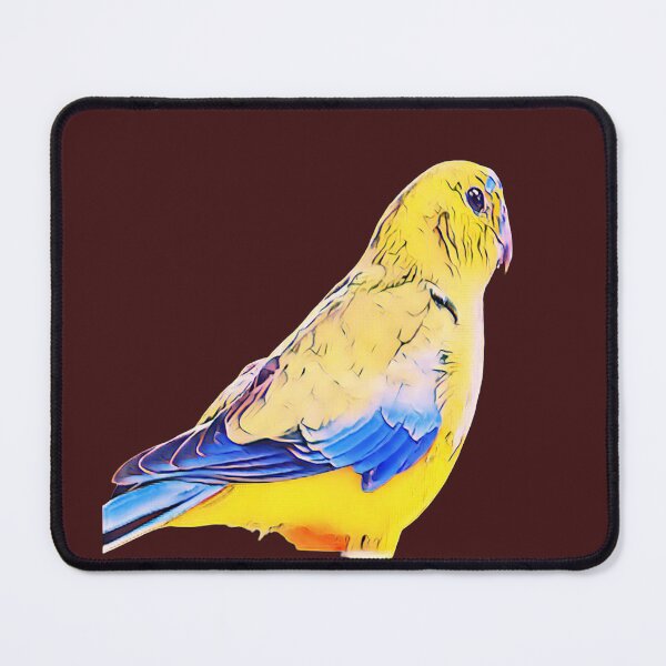 Item preview, the orange bellied parrot is very rare bird. designed and sold by painting23.