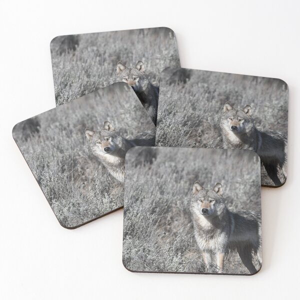Item preview, Gray Wolf designed and sold by Andrea King.