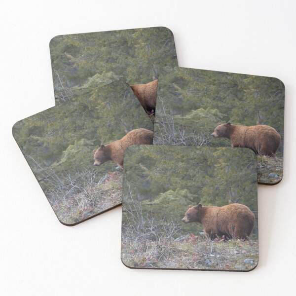 Item preview, Beautiful Black Bear designed and sold by Andrea King.