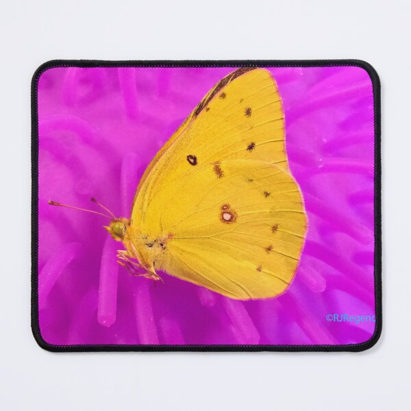 Item preview, Yellow Butterfly designed and sold by Robert Regenold's Art Shop.