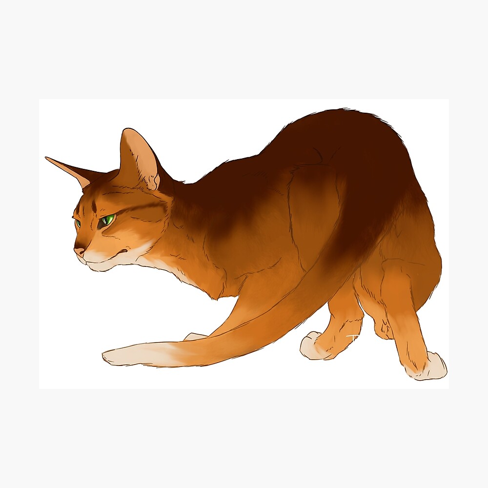 Warrior Cats - Firestar Art Print for Sale by HGBCO