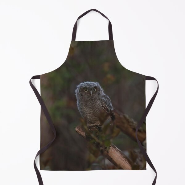 Item preview, 1 of 6 baby screech owlets designed and sold by locustgirl.