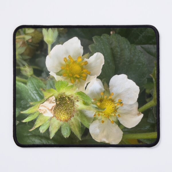 Item preview, Strawberry Flowers designed and sold by Betsy Phillips.