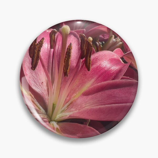 Item preview, Pink Lilies designed and sold by Betsy Phillips.