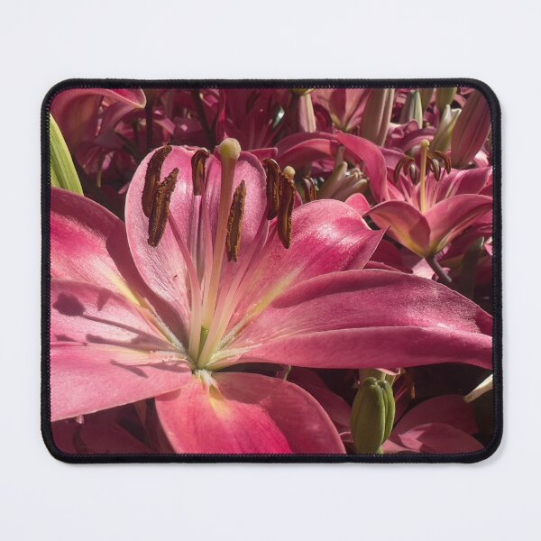 Item preview, Pink Lilies designed and sold by Betsy Phillips.