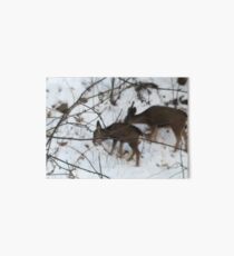 Deer in snow Art Board