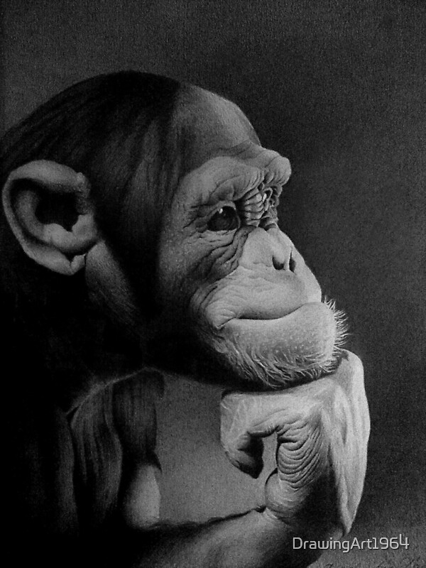 "THE THINKER" by DrawingArt1964 Redbubble