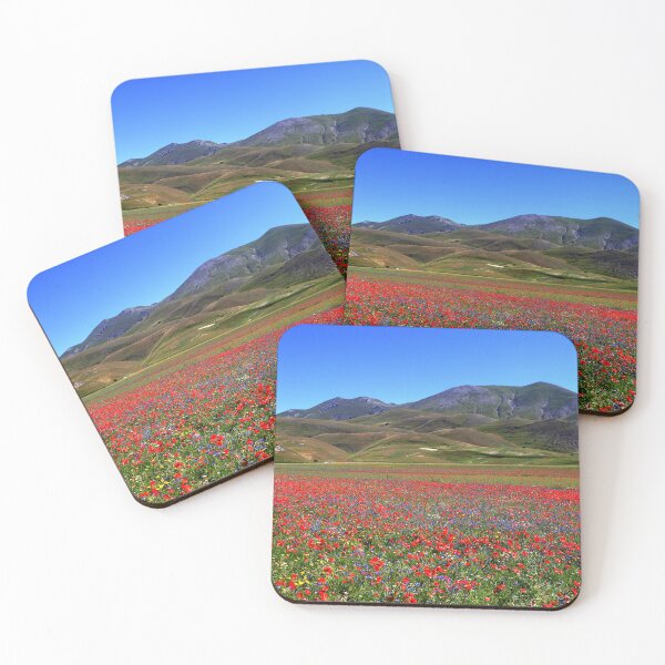 Item preview, Castelluccio di Norcia 2024 designed and sold by annalisa56.
