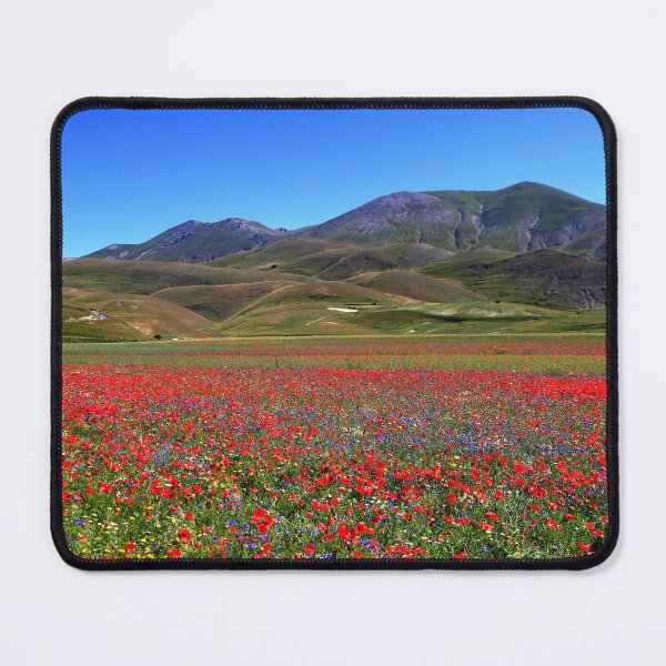 Item preview, Castelluccio di Norcia 2024 designed and sold by annalisa56.