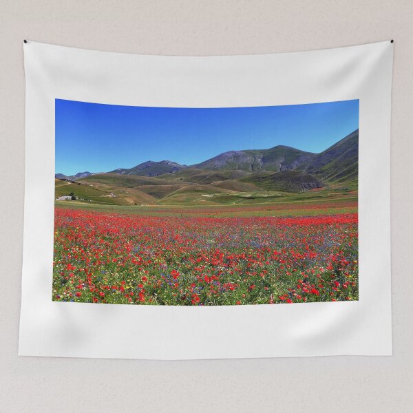 Item preview, Castelluccio di Norcia 2024 designed and sold by annalisa56.