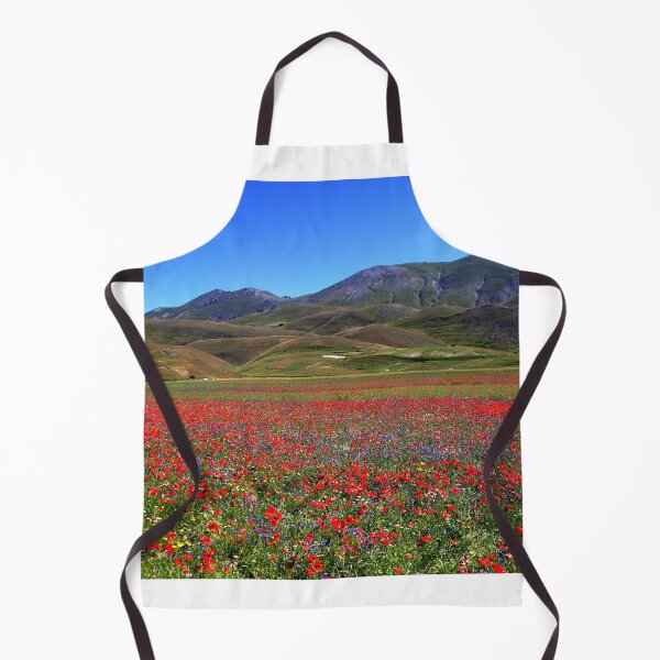 Item preview, Castelluccio di Norcia 2024 designed and sold by annalisa56.