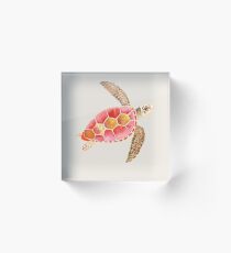 SeaTurtle Acrylic Block