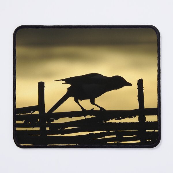 Item preview, Bird on fence silhouette designed and sold by CatherineMoore4.