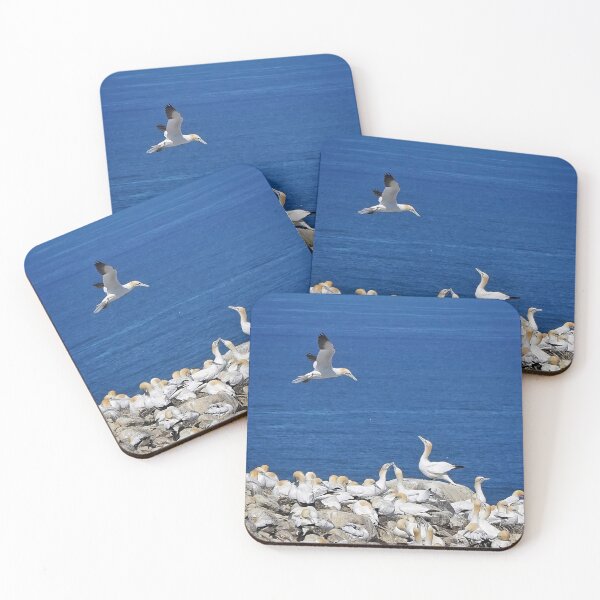 Item preview, Northern Gannets meeting designed and sold by elisainiceland.