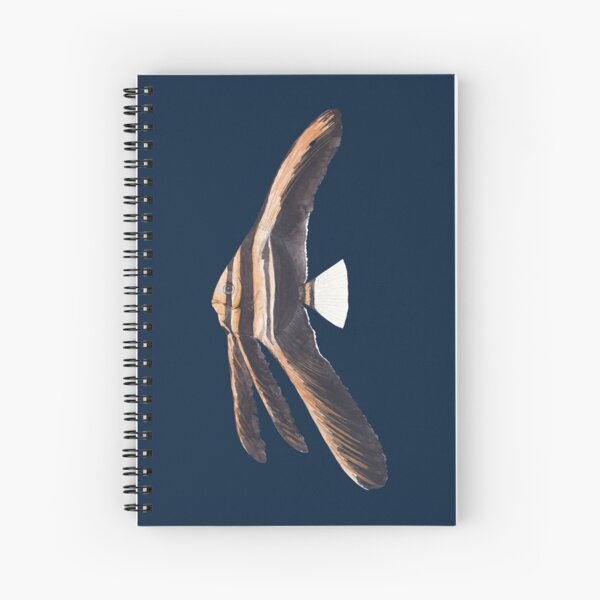 Item preview, JUVENILE LONGFIN BATFISH-Platax teira designed and sold by BEATRIZ ABAITUA.
