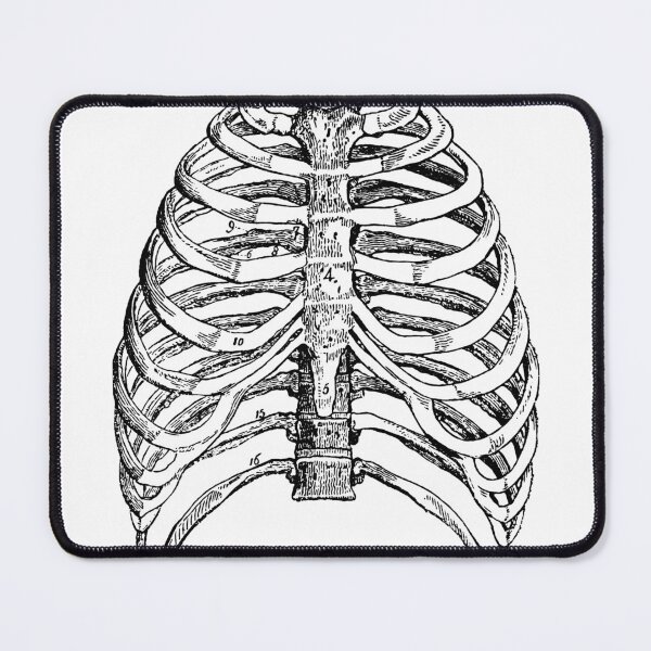Item preview, Skeleton Art designed and sold by Bison Artistry.