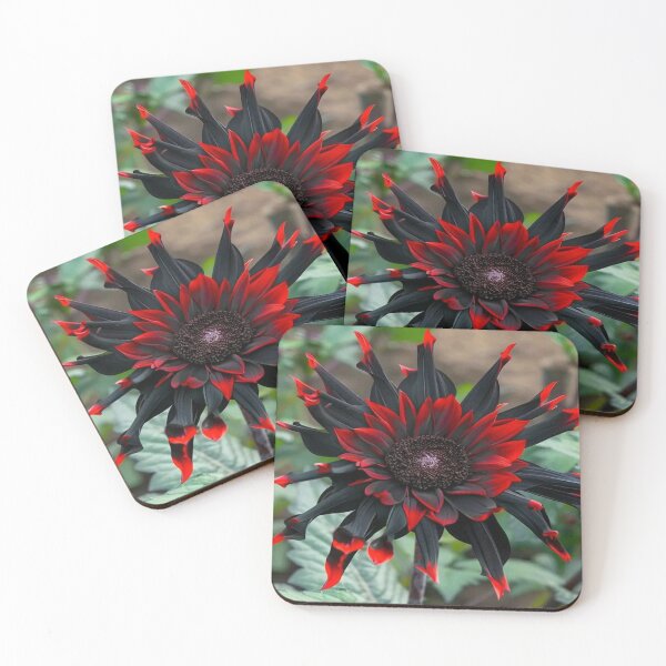 Item preview, Black and Red Sunflower Helianthus annuus designed and sold by The Happiness Market .