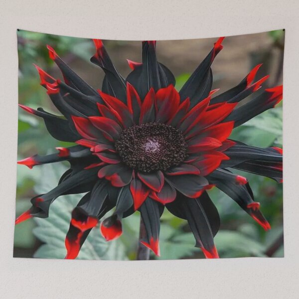 Item preview, Black and Red Sunflower Helianthus annuus designed and sold by The Happiness Market .