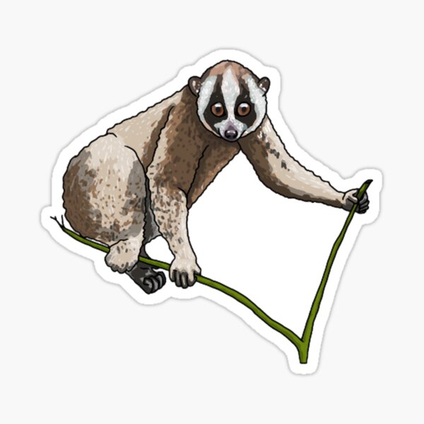 Item preview, Javan Slow Loris (Nycticebus javanicus). designed and sold by DibbertBoris.