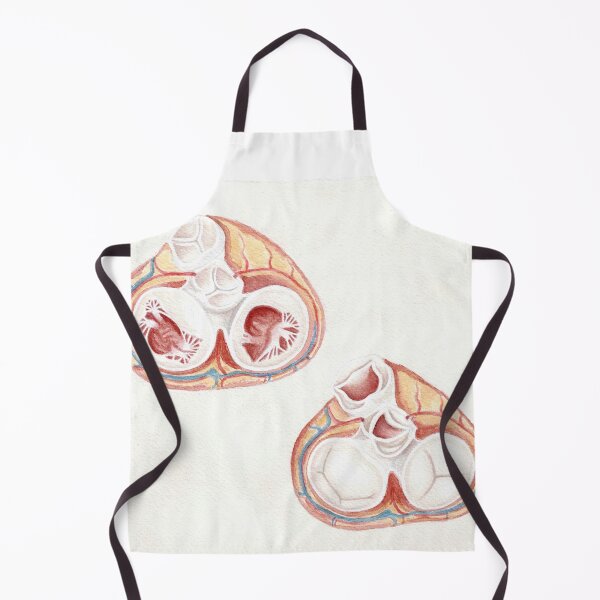 Item preview, atrioventricular & semilunar valves - watercolour painting, medical art designed and sold by sarahkianaart.