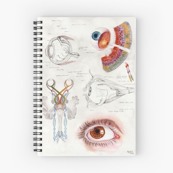 Item preview, 'ophthalmology' - watercolour painting, medical art designed and sold by sarahkianaart.