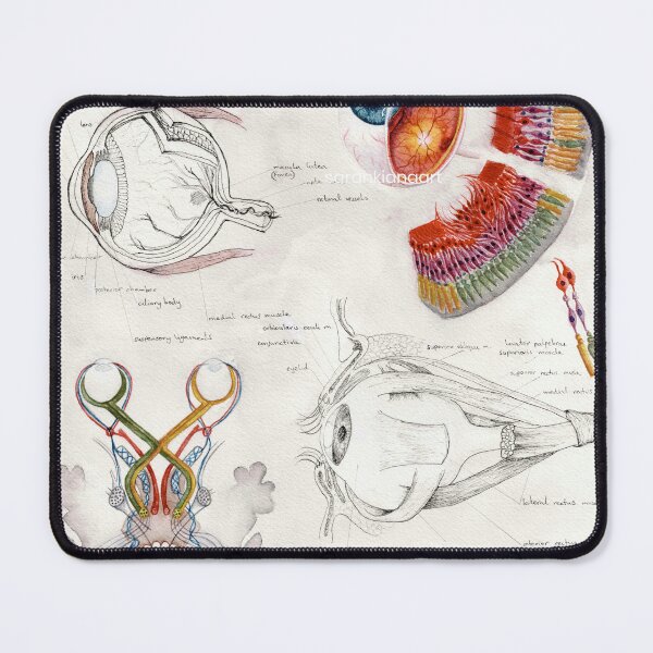 Item preview, 'ophthalmology' - watercolour painting, medical art designed and sold by sarahkianaart.