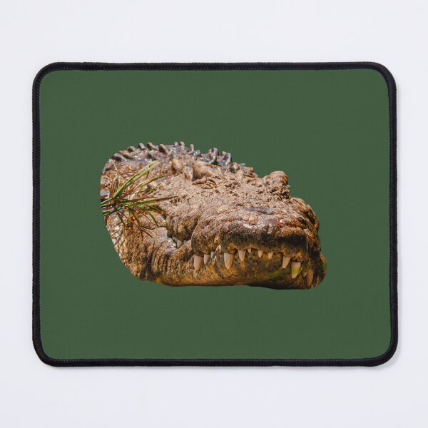 Item preview, Crocodile showing off its magnificent teeth designed and sold by Dalyndigital Photography.