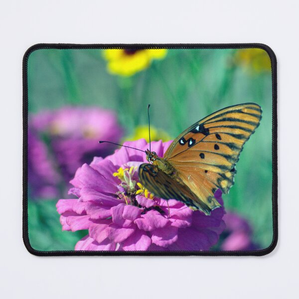 Item preview, Gulf Fritilarry Butterfly And Purple Flower designed and sold by MercerImages.