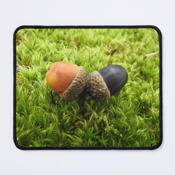 Item preview, Acorns in moss designed and sold by Juviraga.