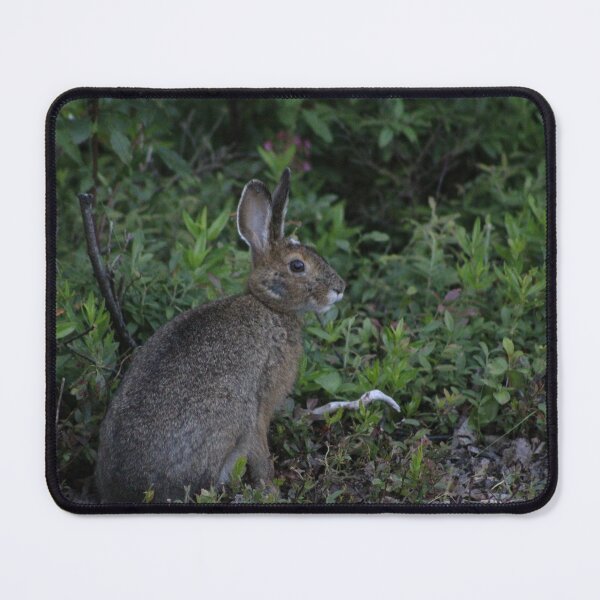 Item preview, Hare (01.07.24) designed and sold by cryptickludo.