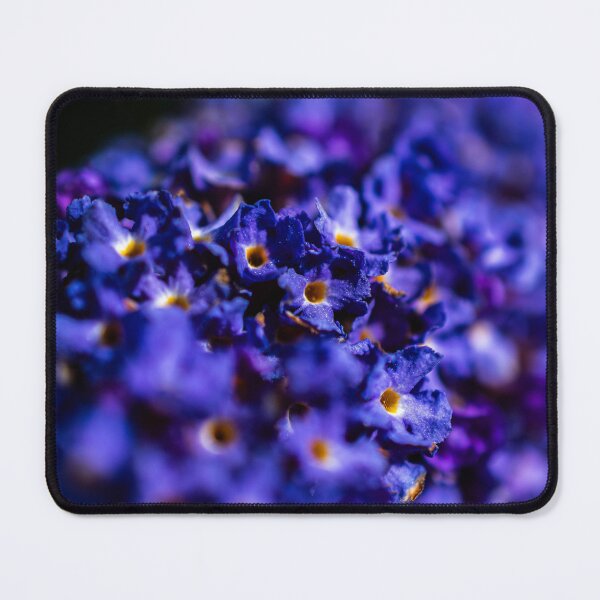 Item preview, Flowers designed and sold by MTPhotos1406.