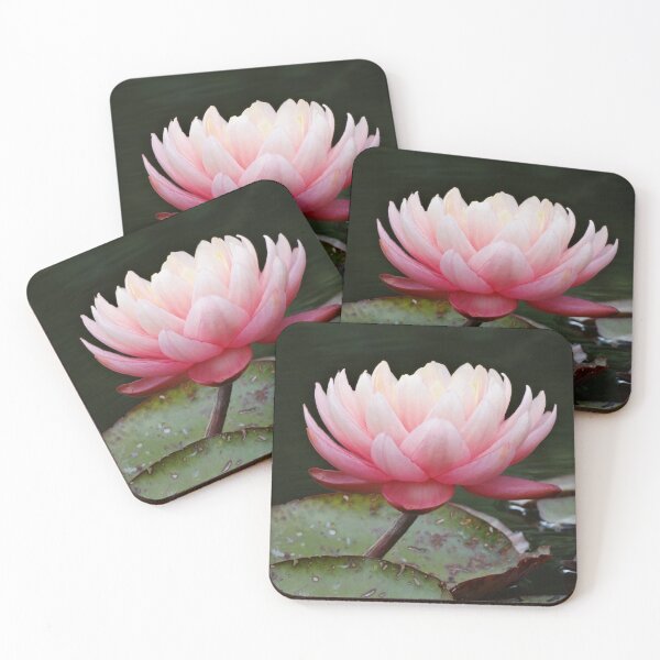 Item preview, Beautiful dark/light pink water lily designed and sold by TwistedClassics.