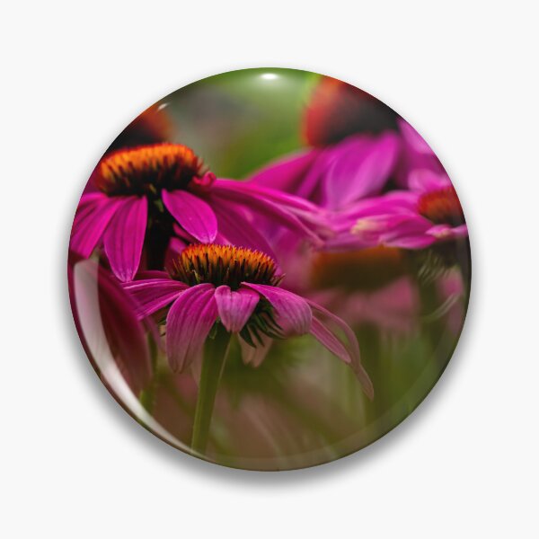 Item preview, Echinacea - Purple Coneflower. designed and sold by Michael Cummings.